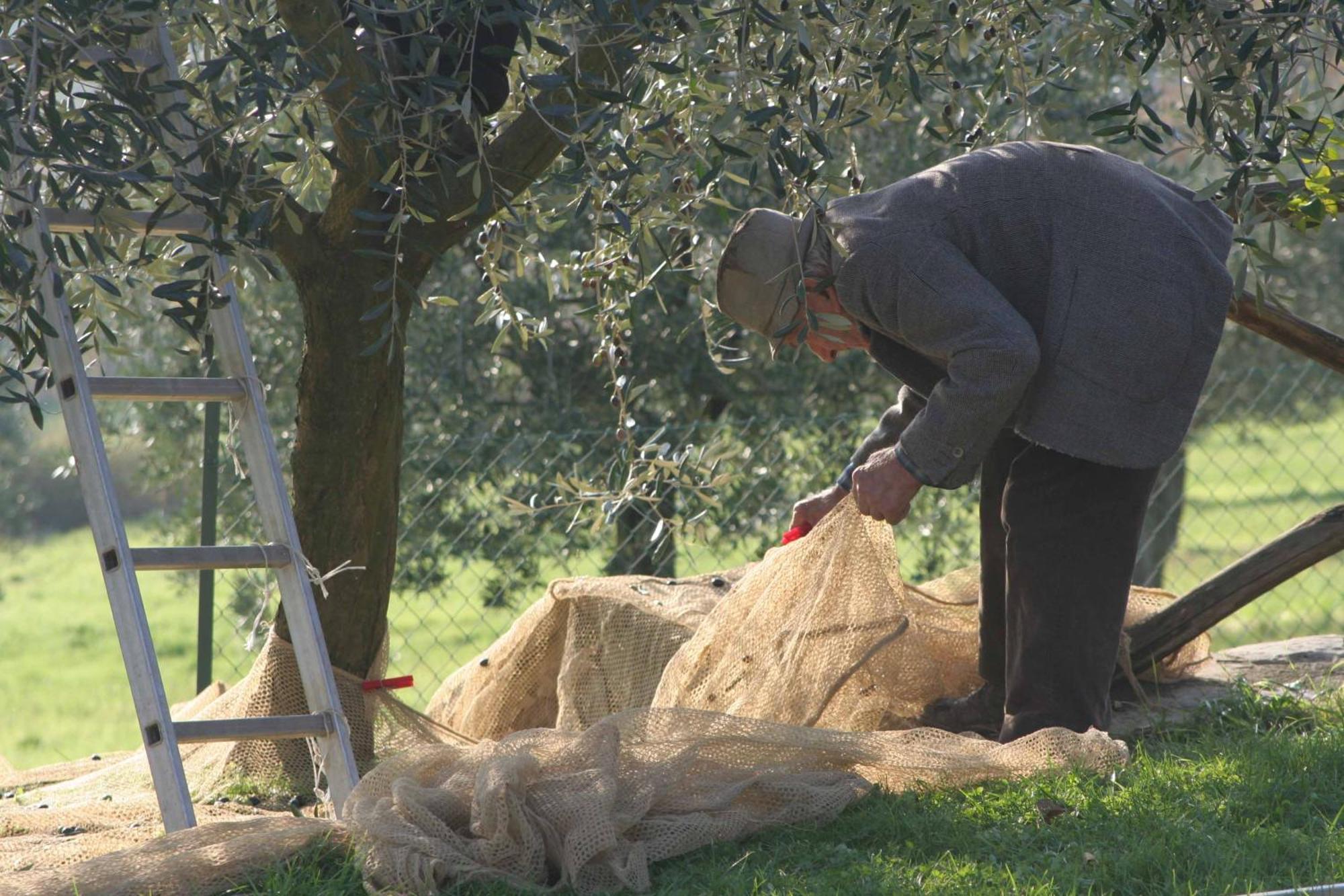 Agriturismo Le Ceregne Bio Pieve Santo Stefano Exteriör bild